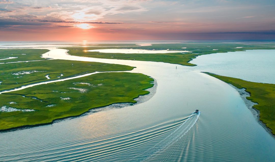 Welcome to “The Current”