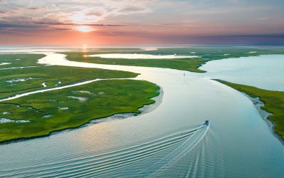 Welcome to “The Current”